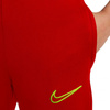 Spodnie Nike DF Academy 21 Pant KPZ Junior CW6124-687 (CW6124687)