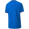 Koszulka Puma teamGOAL 23 Jersey Jr 704160 02 (70416002)