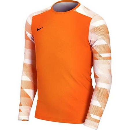 Koszulka Nike Dry Park IV JSY LS GK Jr CJ6072-819 (CJ6072819)