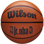 Piłka do koszykówki Wilson NBA Jr DRV Fam Logo Ball (WZ3013001XB)