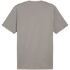 Koszulka Puma ESS Small Logo Tee M 586669 60 (58666960)