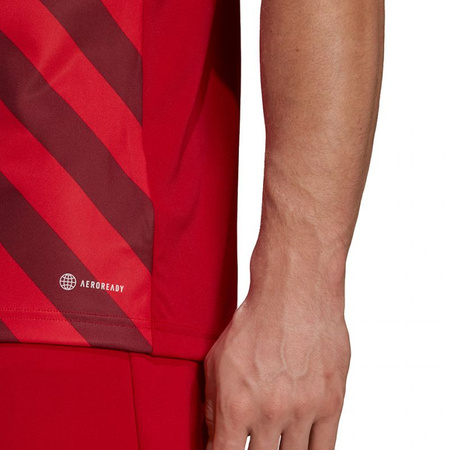 Koszulka adidas Entrada 22 Graphic Jersey M (HB0572)