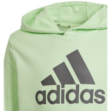 Bluza adidas Big Logo Hoodie Jr (IS2591)