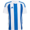 Koszulka dla dzieci adidas Striped 24 biało-niebieska (IW2134)