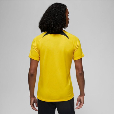Koszulka Nike PSG DF Academy Pro SS Top PM 4TH M DR4906 720 (DR4906720)