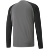 Bluza bramkarska Puma teamPacer GK LS M 704933 43 (70493343)