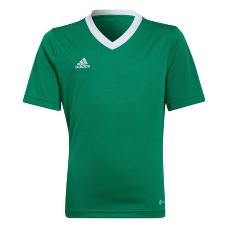 Koszulka adidas Entrada 22 Jersey Jr (HI2126)
