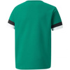 Koszulka Puma teamRise Jersey Jr 704938 05 (70493805)