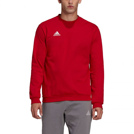 Bluza adidas Entrada 22 Sweatshirt M (HB0577)