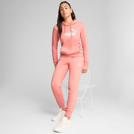 Bluza Puma ESS No.1 Logo Hoodie W 682391 18 (1502663)