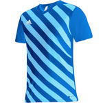 Koszulka adidas Entrada 22 Graphic Jersey Jr (HF0130)