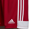 Spodenki adidas Tastigo 19 Shorts M (DP3681)