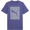 Koszulka Puma Graphics Wording Tee M 684825 46 (1502067)