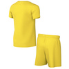 Komplet sportowy dla dzieci Nike DRY Park Kit Set żółty (CD2244 719)
