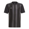 Koszulka adidas Striped 21 Jr (GN7634)