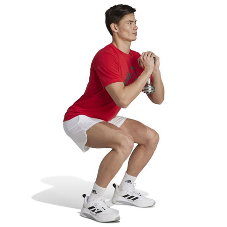 Koszulka adidas Train Essentials Seasonal Training Graphic M (IJ9604)