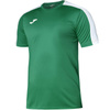 Koszulka Joma Academy III T-shirt S/S (101656.452)