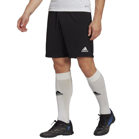 Spodenki adidas Entrada 22 Training Short M (HB0575)