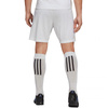 Spodenki adidas Entrada 22 M (HG6295)