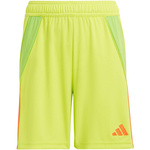 Spodenki adidas Tiro 24 Jr (IT2421)