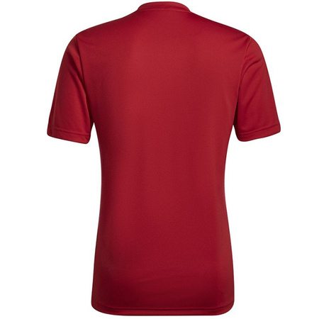 Koszulka adidas Entrada 22 Graphic Jersey M (HB0572)