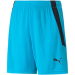 Spodenki Puma teamLIGA Shorts Jr 704931 40 (70493140)