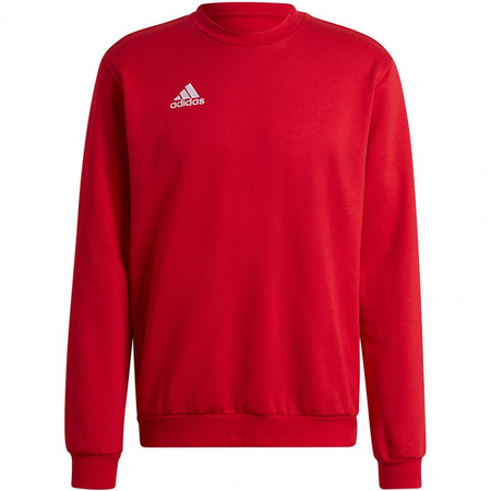 Bluza adidas Entrada 22 Sweatshirt M (HB0577)