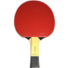 Rakietka do ping ponga Butterfly Timo Boll SG55 (85022)