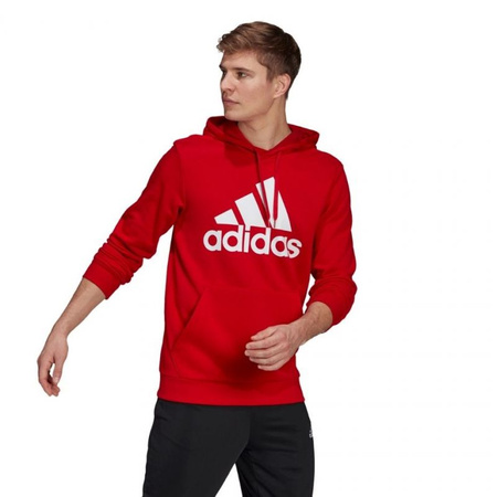 Bluza adidas Essentials Big Logo M (GV0249)