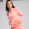 Bluza Puma ESS No.1 Logo Hoodie W 682391 18 (1502663)