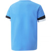 Koszulka Puma teamRise Jersey Jr 704938 18 (70493818)