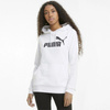 Bluza Puma Ess Logo W 586791 02 (58679102)