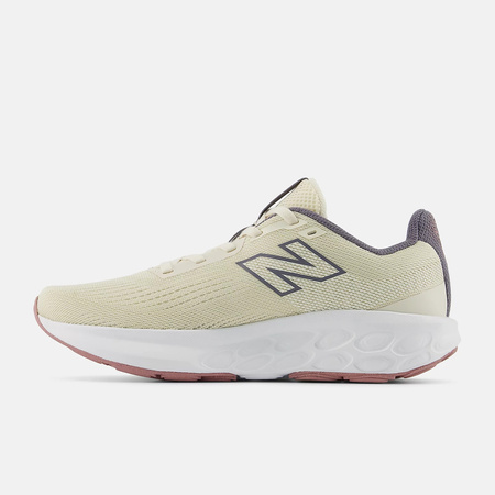 Buty biegowe damskie New Balance 520 Running  (W5207J8)