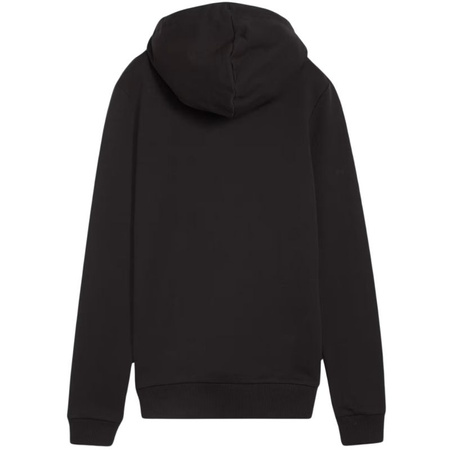 Bluza Puma Team Goal Casuals Hoody W 658621 03 (65862103)