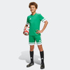 Spodenki dla dzieci adidas Squadra 25 zielone (JN7484)