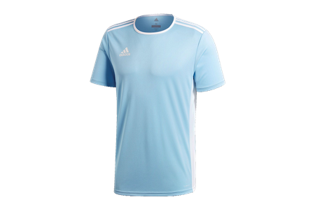 Koszulka sportowa męska adidas Entrada 18 t-shirt niebieska (CD8414)