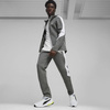 Spodnie męskie Puma EVOSTRIPE PANTS DK Szary (67899780)
