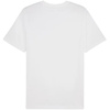 Koszulka Puma ESS Small Logo Tee M 682538 02 (68253802)