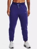 Spodnie damskie UNDER ARMOUR purple (1374105-468)