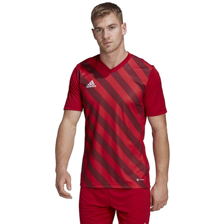 Koszulka adidas Entrada 22 Graphic Jersey M (HB0572)