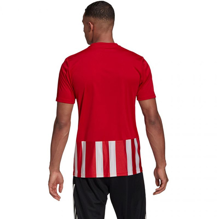 Koszulka adidas Striped 21 Jersey M (GN7624)