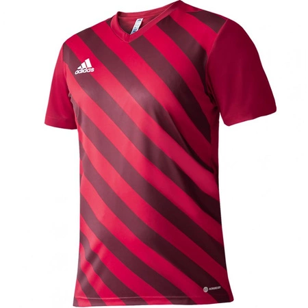 Koszulka adidas Entrada 22 Graphic Jersey Jr (H58983)
