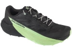 Buty Do Biegania męskie Salomon Pulsar niskie przed kostkę Czarne (L47887800)