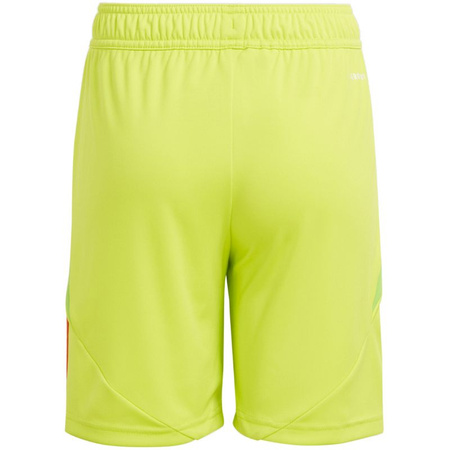 Spodenki adidas Tiro 24 Jr (IT2421)