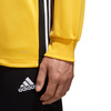 Bluza adidas Regista 18 Training M (CZ8648)