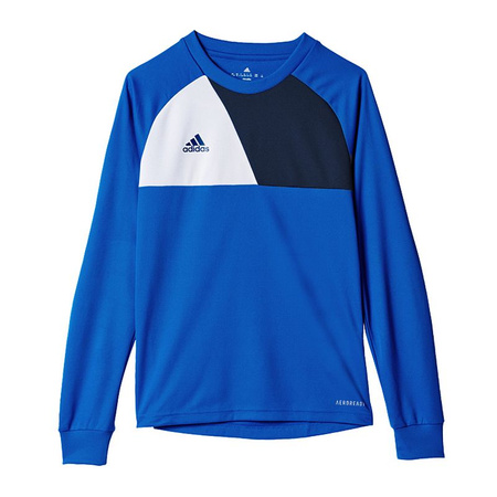 Bluza adidas Assita 17 Jr (AZ5404)