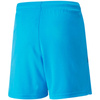 Spodenki Puma teamLIGA Shorts Jr 704931 40 (70493140)