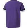 Koszulka Puma teamRise Jersey Jr 704938 10 (70493810)
