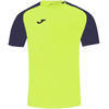 Koszulka piłkarska Joma Academy IV Sleeve (101968.063)