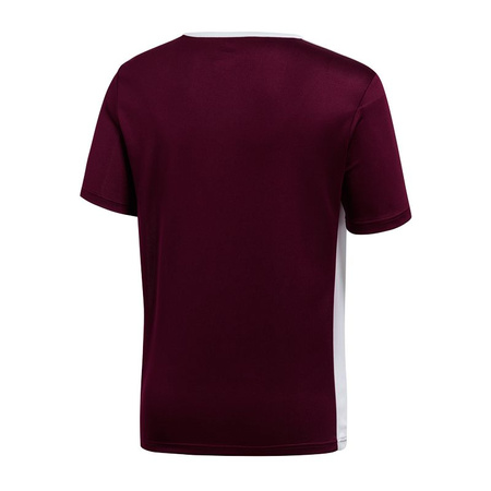 Koszulka adidas Entrada 18 Jr (CE9564)